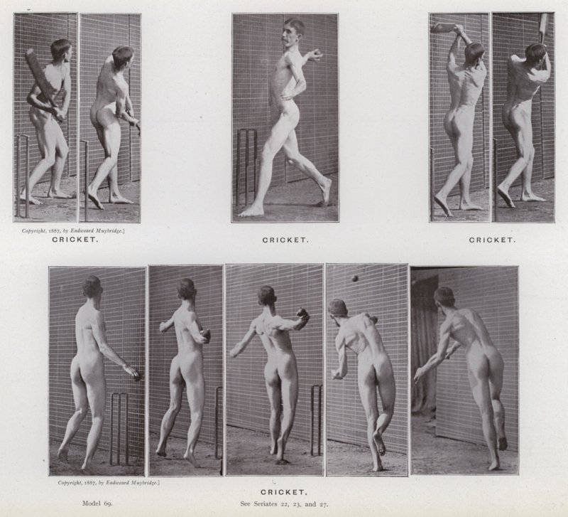 Mozgó emberi alak: Tücsök (f/w fotó) alkotó: Eadweard Muybridge