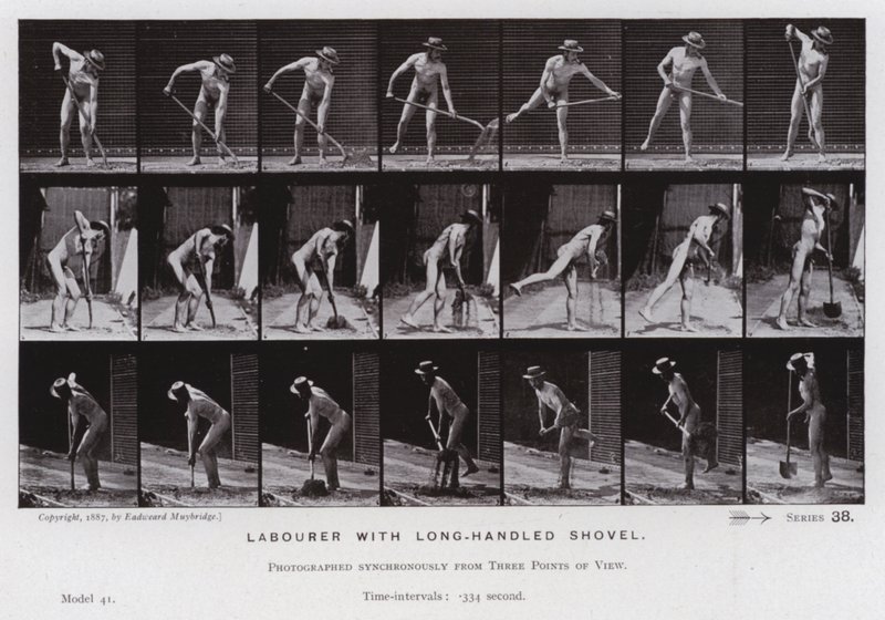 Mozgó emberalak: munkás hosszú nyelű lapáttal (f/w fotó) alkotó: Eadweard Muybridge