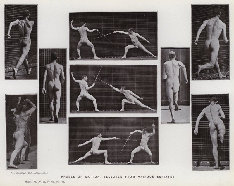 A mozgásban lévő emberi alak: A mozgás fázisai, különféle sorozatokból válogatva (f/w fotó) alkotó: Eadweard Muybridge