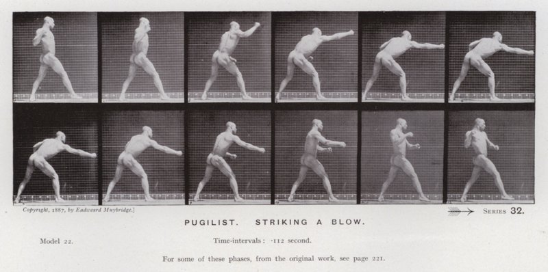 Mozgó emberalak: Pugilist, csapást mér (f/w fotó) alkotó: Eadweard Muybridge