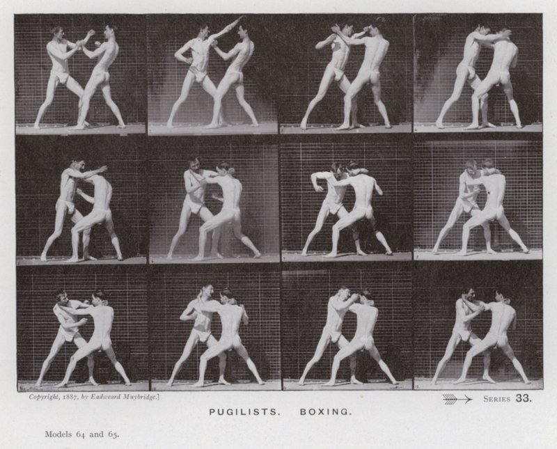 Mozgó emberalak: Pugilisták, boksz (f/w fotó) alkotó: Eadweard Muybridge