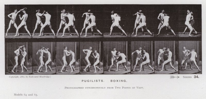 Mozgó emberalak: Pugilisták, boksz (f/w fotó) alkotó: Eadweard Muybridge