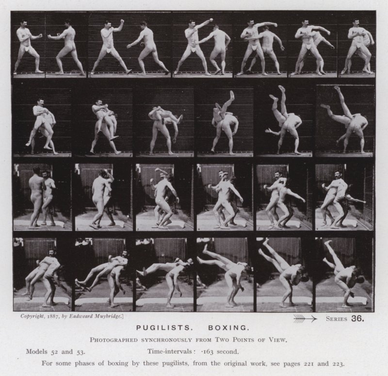 Mozgó emberalak: Pugilisták, boksz (f/w fotó) alkotó: Eadweard Muybridge