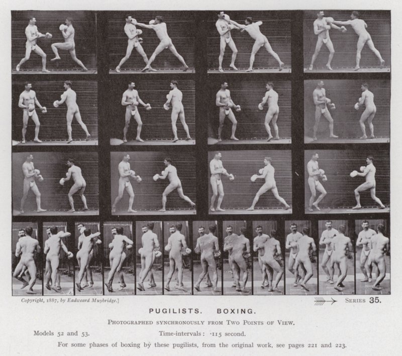Mozgó emberalak: Pugilisták, boksz (f/w fotó) alkotó: Eadweard Muybridge
