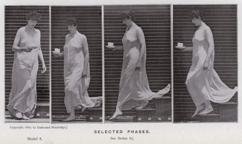 Az emberi alak mozgásban: kiválasztott fázisok (f/w fotó) alkotó: Eadweard Muybridge