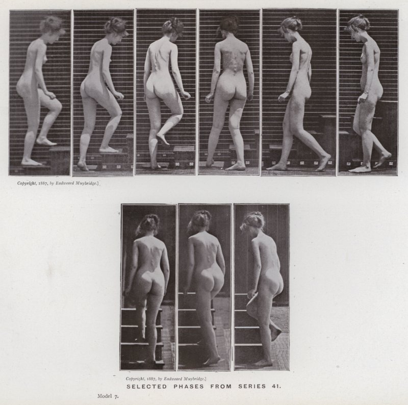Mozgó emberalak: Válogatott fázisok a 41-es sorozatból (f/w fotó) alkotó: Eadweard Muybridge