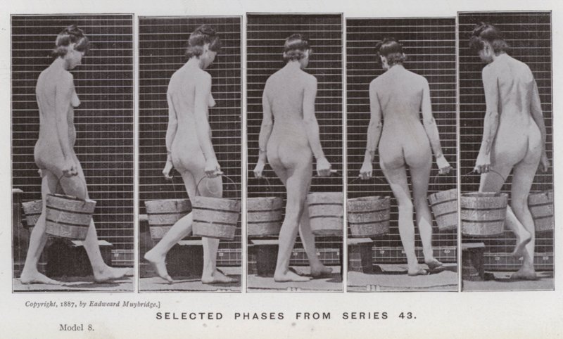 Az emberi alak mozgásban: Válogatott fázisok a 43-as sorozatból (f/w fotó) alkotó: Eadweard Muybridge