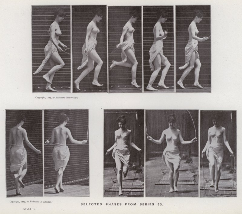 Az emberi alak mozgásban: Válogatott fázisok az 53-as sorozatból (f/w fotó) alkotó: Eadweard Muybridge
