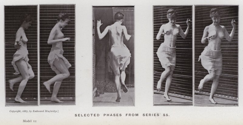 Mozgó emberalak: Válogatott fázisok az 55-ös sorozatból (f/w fotó) alkotó: Eadweard Muybridge