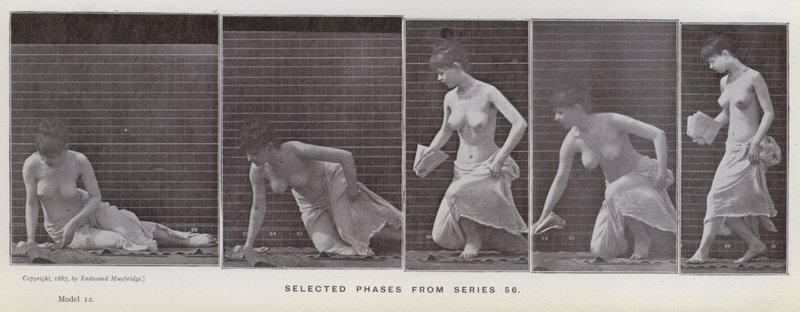 Az emberi alak mozgásban: Válogatott fázisok az 56-os sorozatból (f/w fotó) alkotó: Eadweard Muybridge