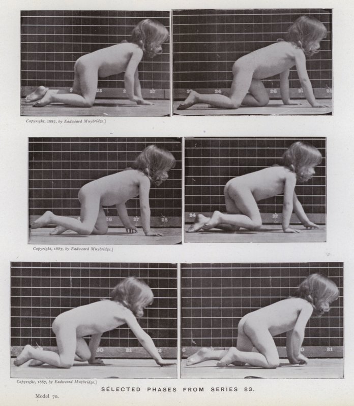Mozgó emberalak: Válogatott fázisok a 83-as sorozatból (f/w fotó) alkotó: Eadweard Muybridge