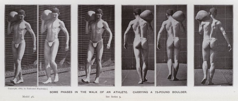 Az emberi alak mozgásban: Egy atléta sétájának néhány fázisa egy 75 kilós sziklatömböt cipelve (f/w fotó) alkotó: Eadweard Muybridge
