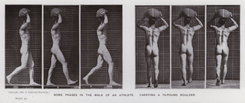 Az emberi alak mozgásban: Egy atléta sétájának néhány fázisa egy 75 kilós sziklatömböt cipelve (f/w fotó) alkotó: Eadweard Muybridge