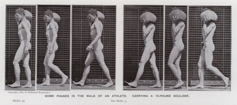 Az emberi alak mozgásban: Egy atléta sétájának néhány fázisa egy 75 kilós sziklatömböt cipelve (f/w fotó) alkotó: Eadweard Muybridge