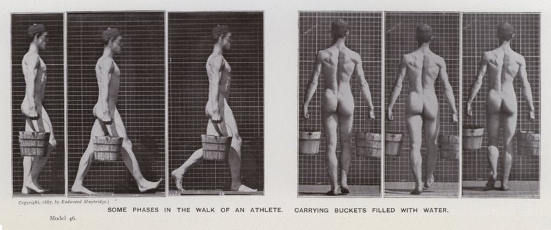 Az emberi alak mozgásban: Egy sportoló sétájának néhány fázisa vízzel teli vödrökkel (f/w fotó) alkotó: Eadweard Muybridge