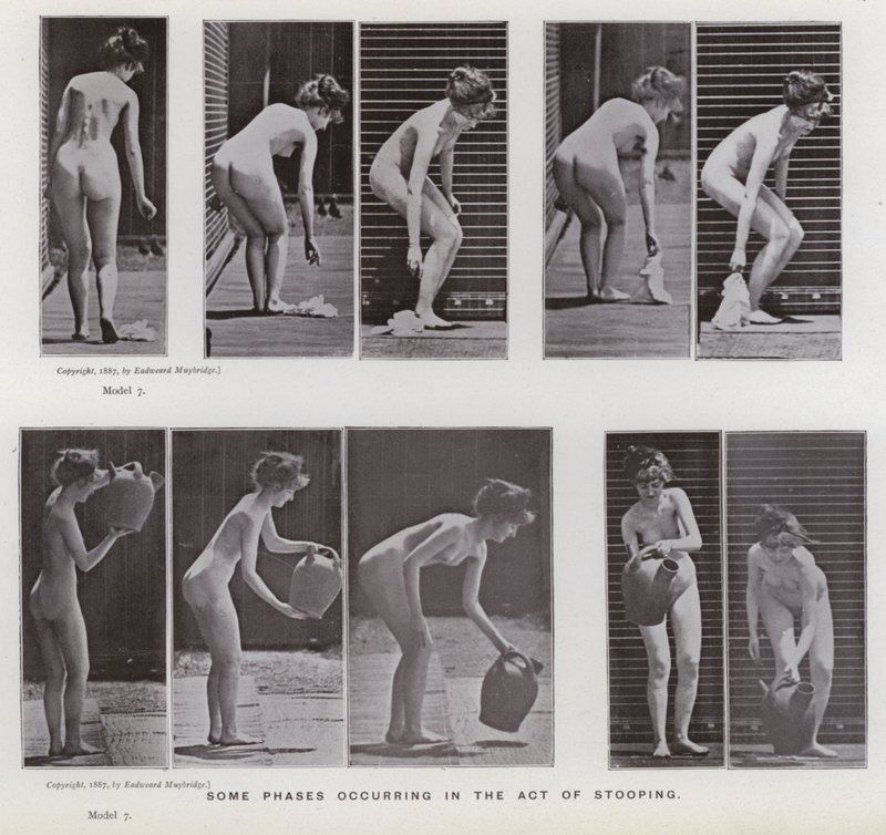 A mozgásban lévő emberi alak: A görnyedtség aktusának néhány fázisa alkotó: Eadweard Muybridge