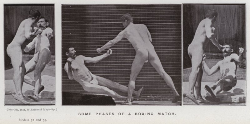 Mozgó emberalak: Egy bokszmeccs néhány fázisa (fekete-fehér fotó) alkotó: Eadweard Muybridge