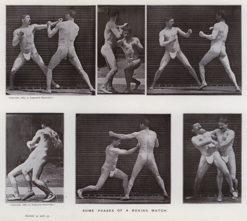 Mozgó emberalak: Egy bokszmeccs néhány fázisa (fekete-fehér fotó) alkotó: Eadweard Muybridge
