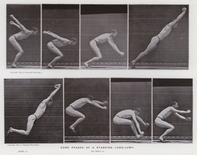 Mozgó emberi alak: egy álló távolugrás néhány fázisa (f/w fotó) alkotó: Eadweard Muybridge