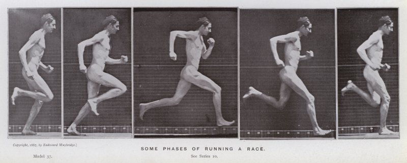 Mozgó emberalak: A versenyfutás néhány fázisa (f/w fotó) alkotó: Eadweard Muybridge