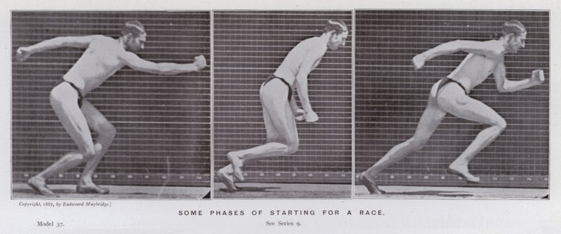 A mozgásban lévő emberi alak: a verseny indulásának néhány fázisa (f/w fotó) alkotó: Eadweard Muybridge