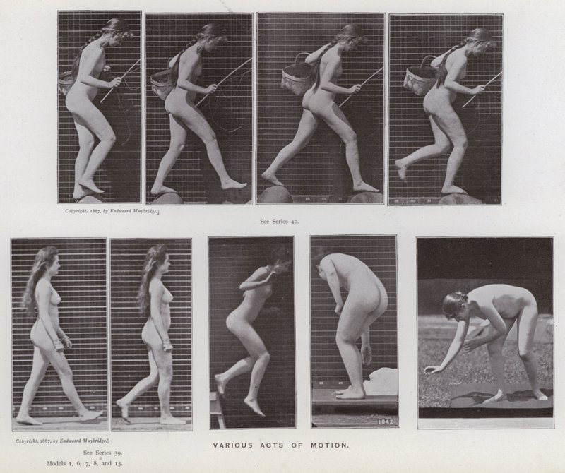 Mozgó emberi alak: különféle mozgások (f/w fotó) alkotó: Eadweard Muybridge
