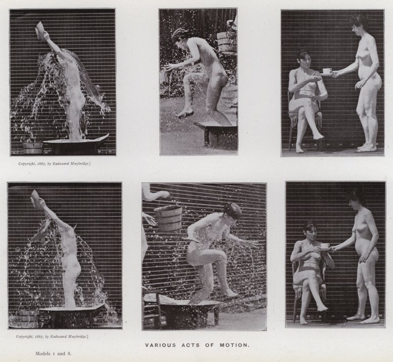 Mozgó emberalak: különféle mozgások (f/w fotó) alkotó: Eadweard Muybridge