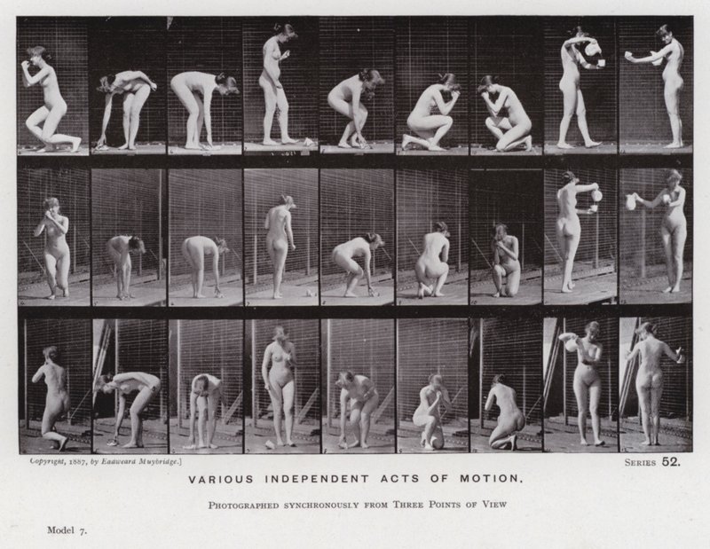 A mozgásban lévő emberi alak: Különféle független mozgások (f/w fotó) alkotó: Eadweard Muybridge