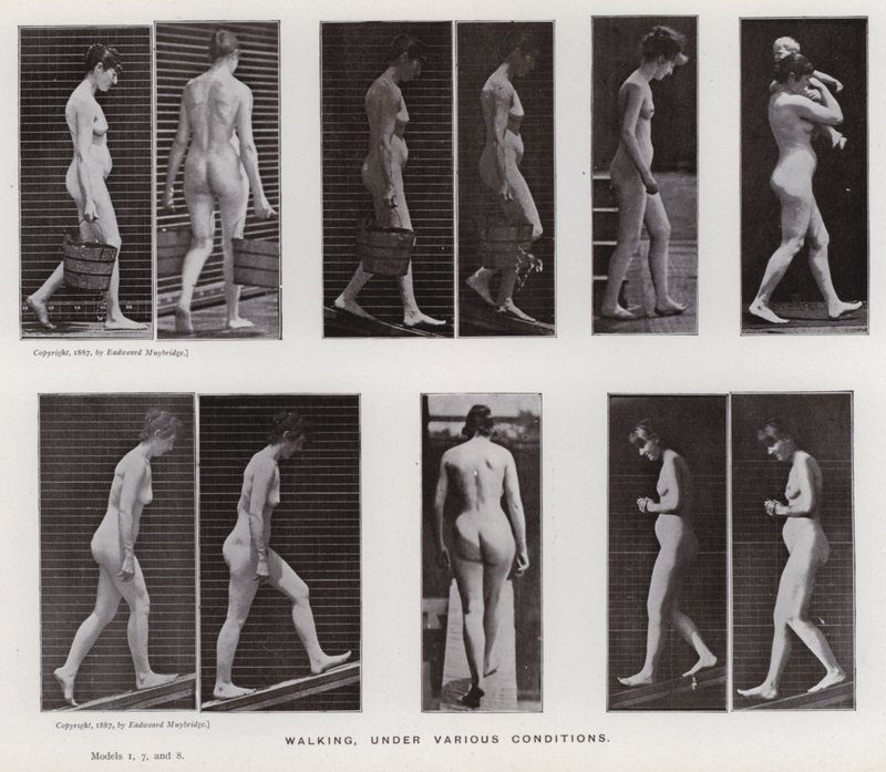 Mozgó emberalak: séta, különféle körülmények között (f/w fotó) alkotó: Eadweard Muybridge