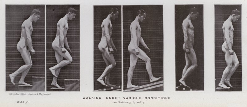 Mozgó emberalak: séta, különböző körülmények között (fekete-fehér fotó) alkotó: Eadweard Muybridge