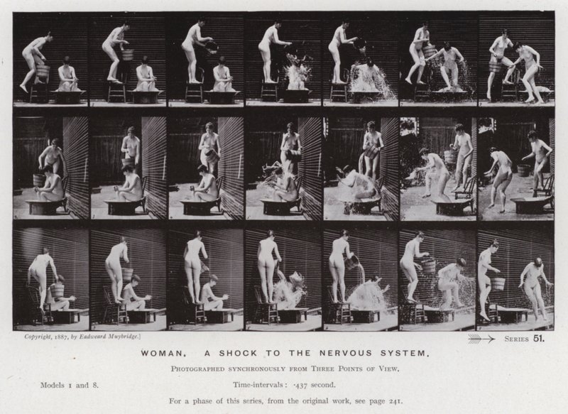 Az emberi alak mozgásban: Nő, sokk az idegrendszerben (f/w fotó) alkotó: Eadweard Muybridge