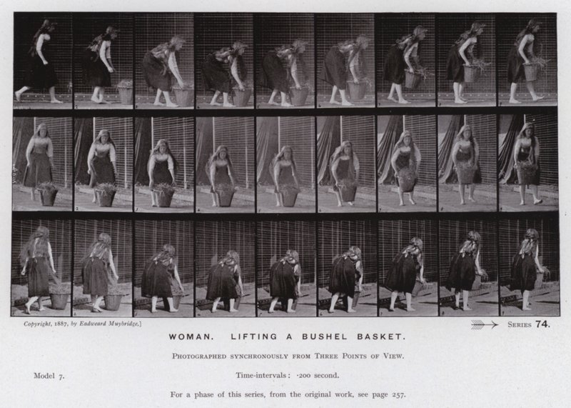 Mozgó emberalak: Nő, perselykosarat emel (f/w fotó) alkotó: Eadweard Muybridge