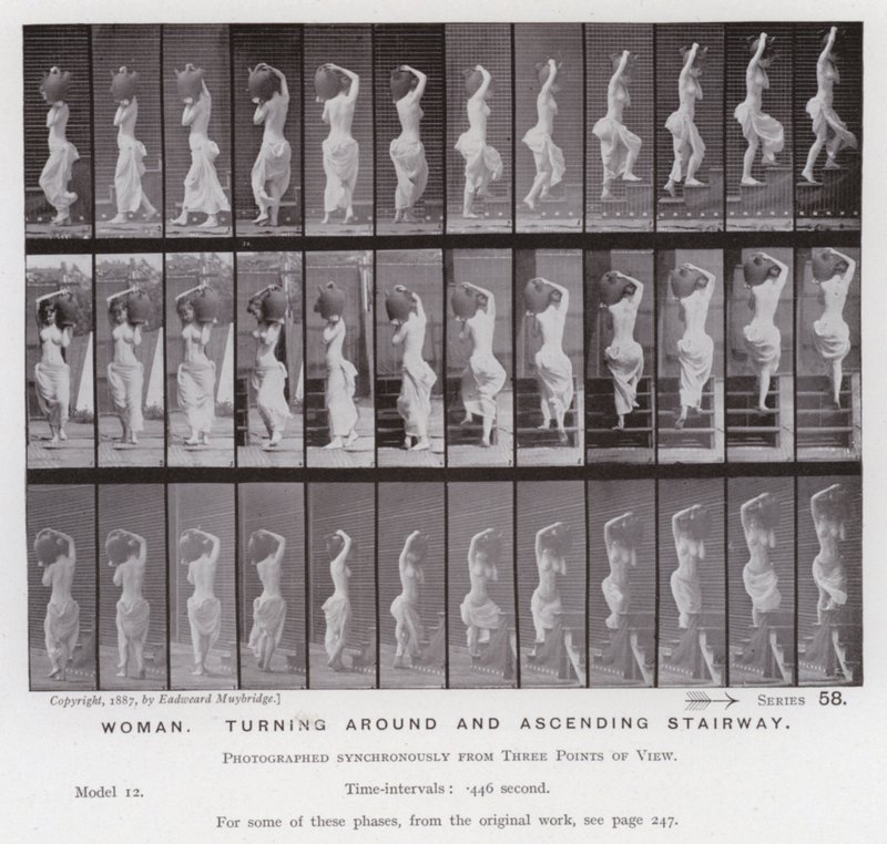 Mozgó emberalak: Nő, megfordul és felfelé megy a lépcsőn (f/w fotó) alkotó: Eadweard Muybridge