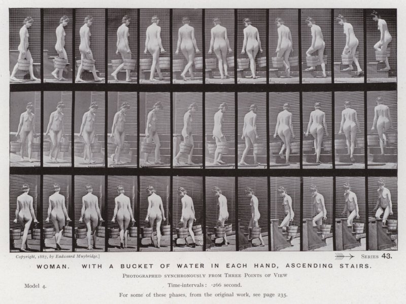 Mozgó emberalak: nő, mindkét kezében egy vödör vízzel, lépcsőn felfelé alkotó: Eadweard Muybridge