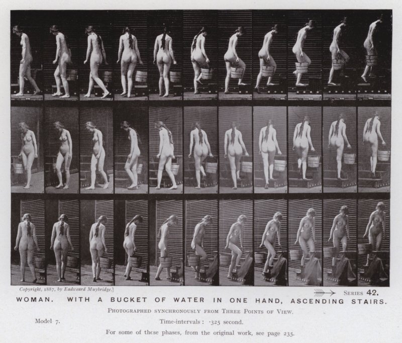 Mozgó emberalak: Nő, egyik kezében egy vödör vízzel, lépcsőn felfelé (f/w fotó) alkotó: Eadweard Muybridge