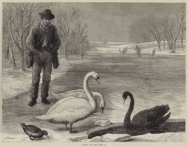 Frozen Out alkotó: Ebenezer Newman Downard