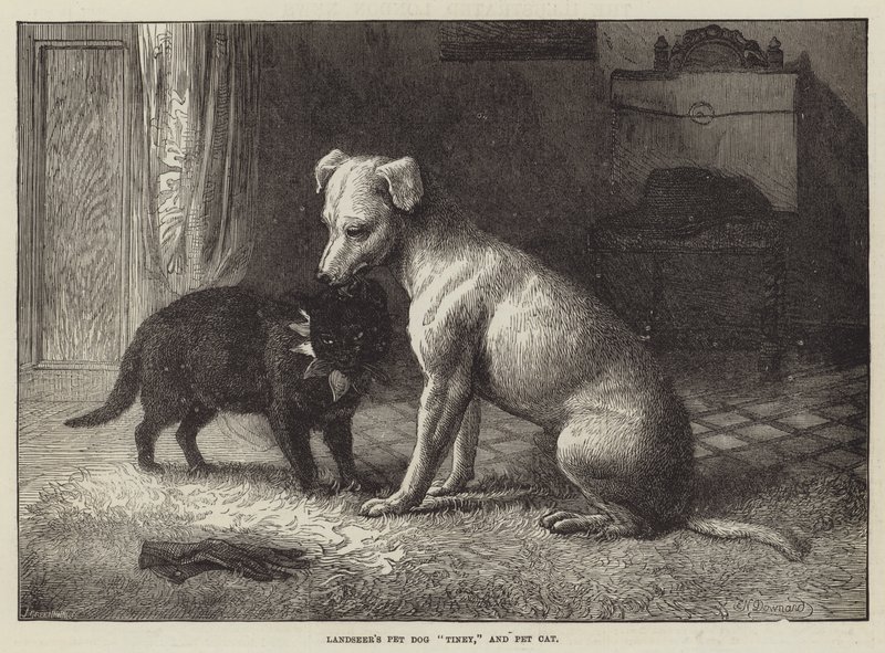 Landseer Pet Dog Tiney és Pet Cat alkotó: Ebenezer Newman Downard