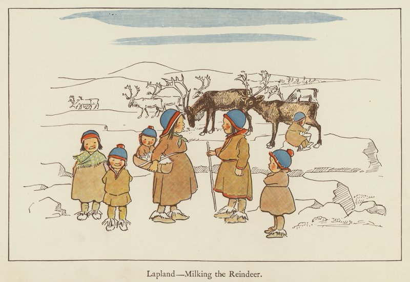 Lappföld, a rénszarvas fejése alkotó: Edith Farmiloe