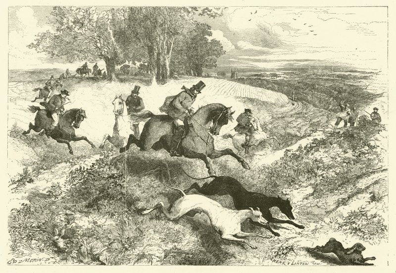 Nyúlsport Angliában (metszet) alkotó: Edmond (after) Morin