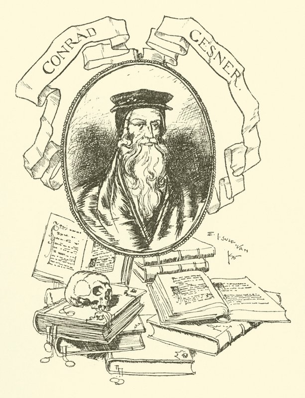 Conrad Gesner alkotó: Edmund Joseph after Sullivan