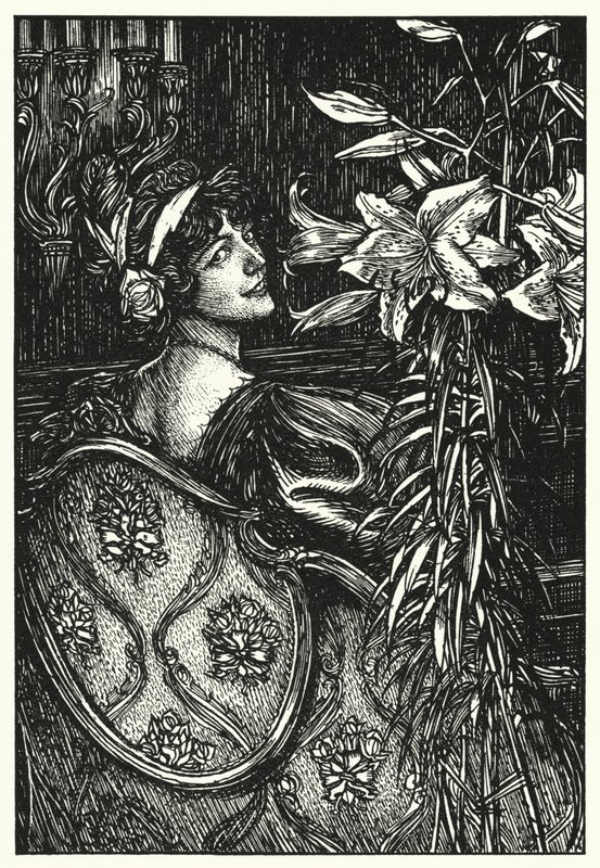 Illusztráció a Sarator Resorts számára alkotó: Edmund Joseph after Sullivan
