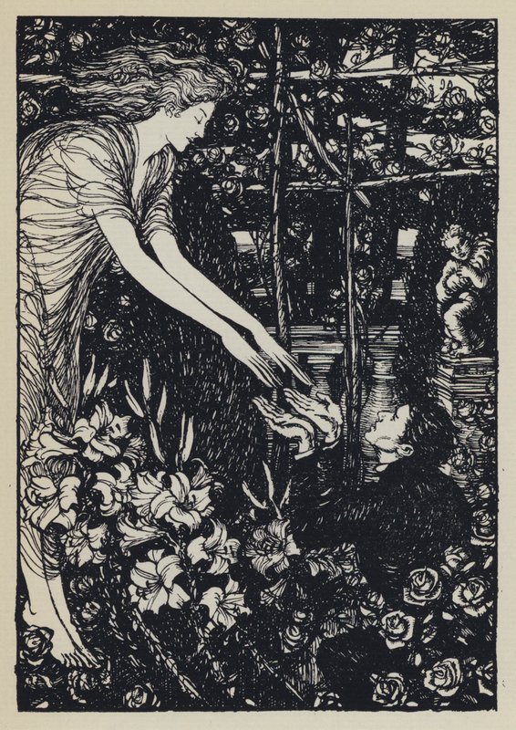 Illusztráció Tennysons Maud számára alkotó: Edmund Joseph after Sullivan