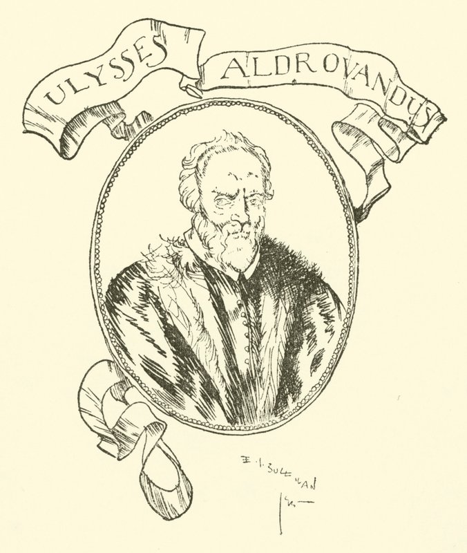 Ulysses Aldrovandus alkotó: Edmund Joseph after Sullivan