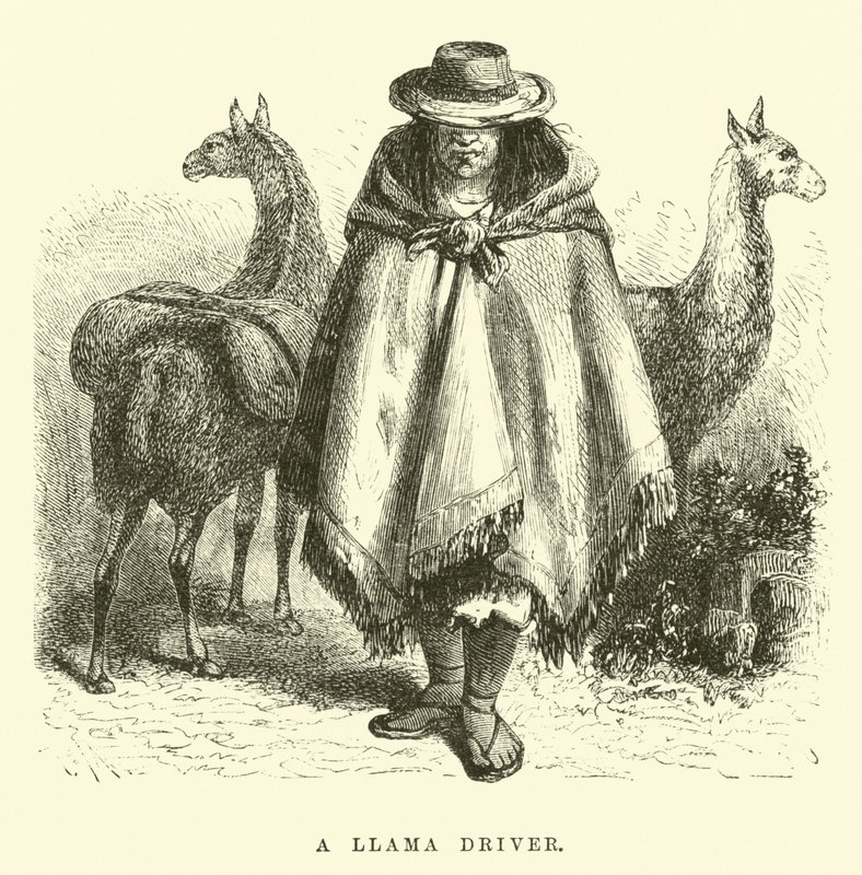 Egy láma sofőr alkotó: Edouard Riou