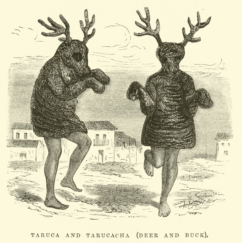 Taruca és Tarucacha, szarvas és bak alkotó: Edouard Riou