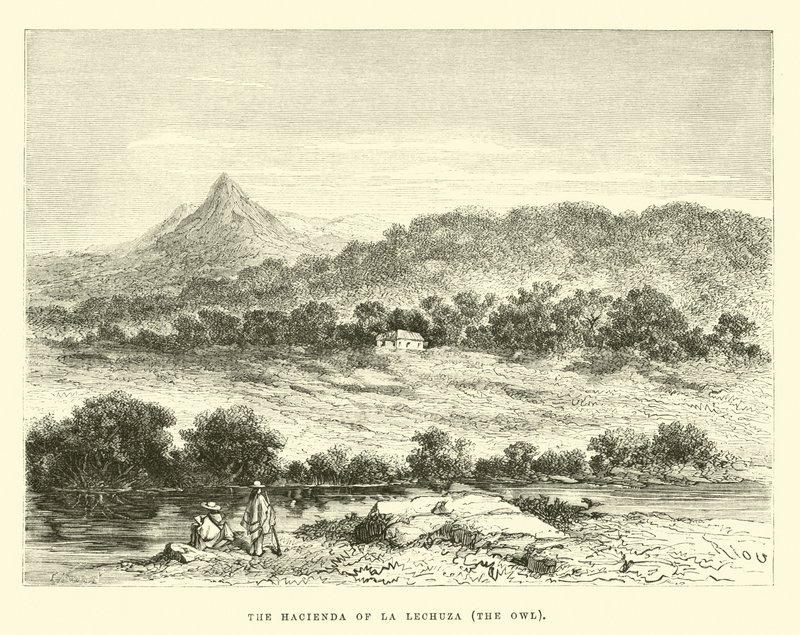 La Lechuza haciendája, a bagoly alkotó: Edouard Riou