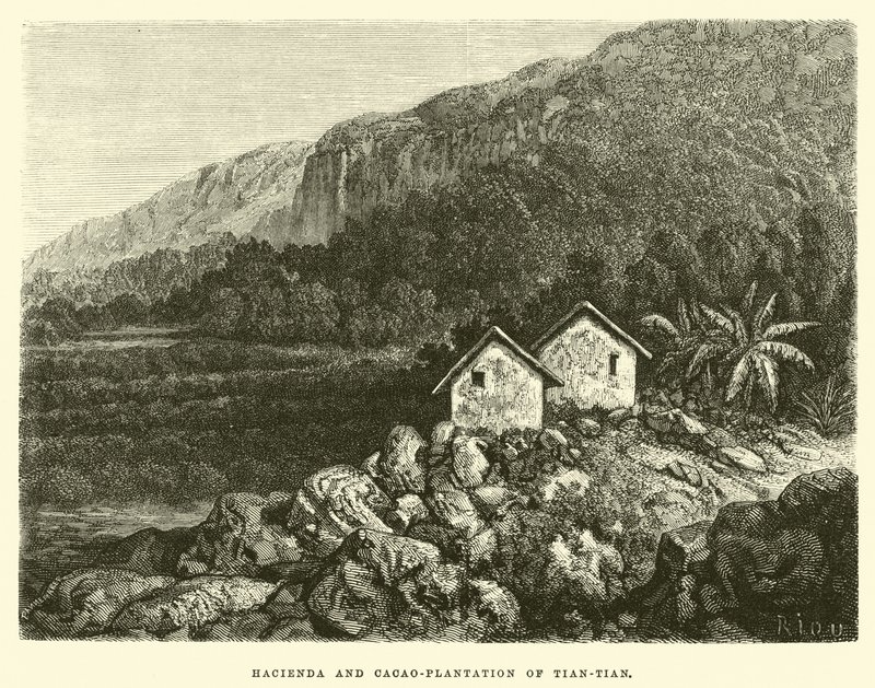 Hacienda és Tian-tian kakaóültetvénye alkotó: Edouard Riou