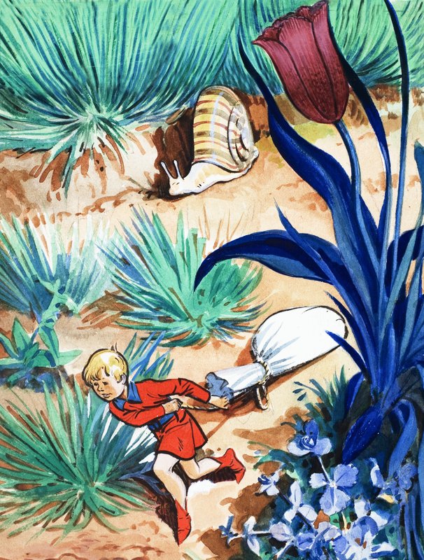 Tom Thumb története alkotó: Eduardo Teixeira Coelho