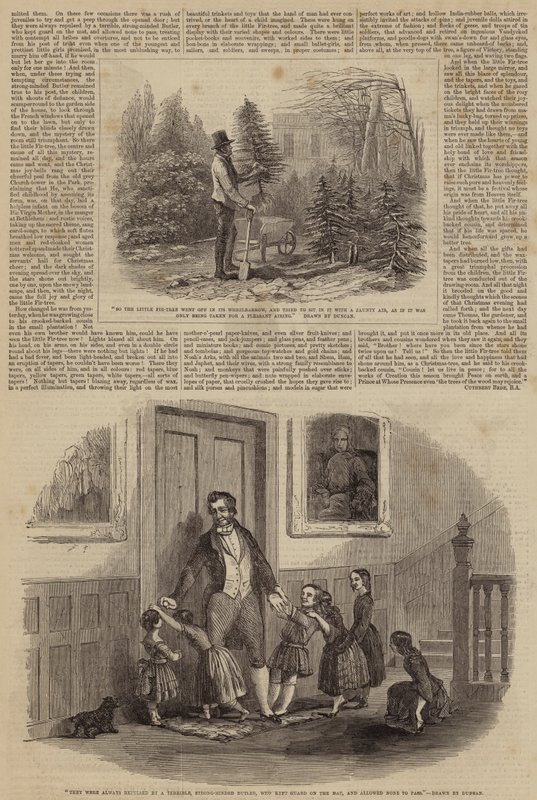 Illusztrációk a kis fenyőhöz alkotó: Edward Duncan