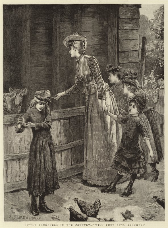 Kis londoniak a vidéken, harapnak-e, tanár úr alkotó: Edward Frederick Brewtnall